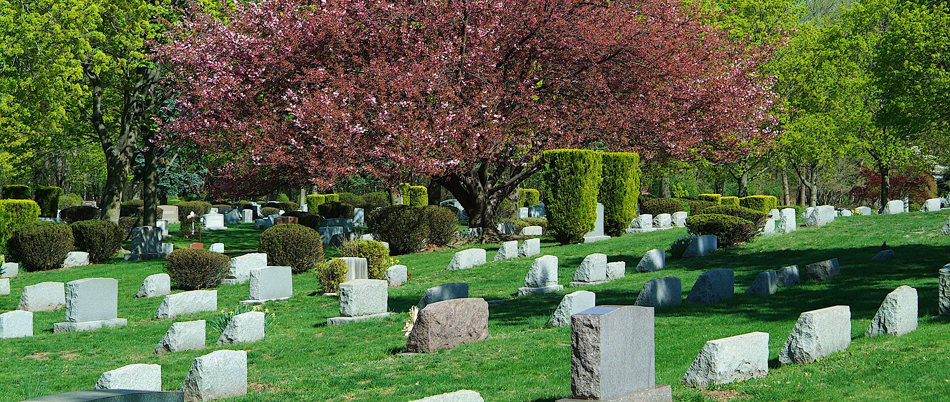 Cemetery View 3